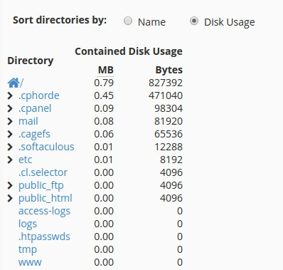 Disk Usage cPanel