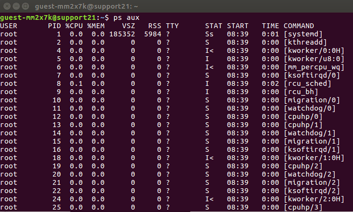 Listing running processes using ps aux command