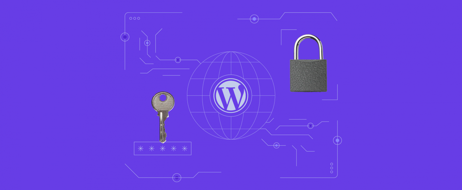 WordPress January Roundup: Security Updates and WordPress 6.5 Early Test